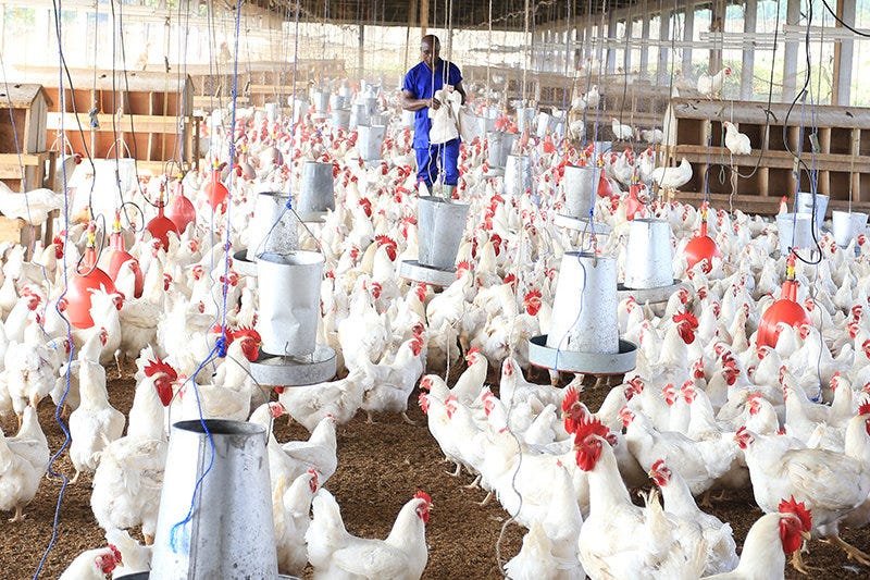 🎓 Farmer Training Programs